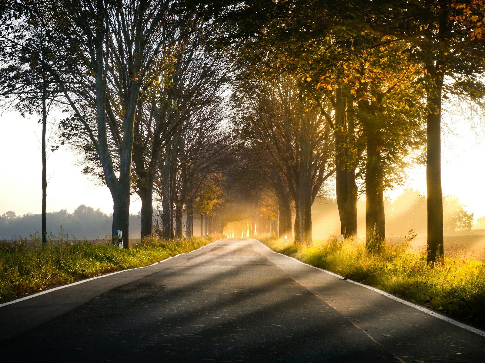 The road ahead